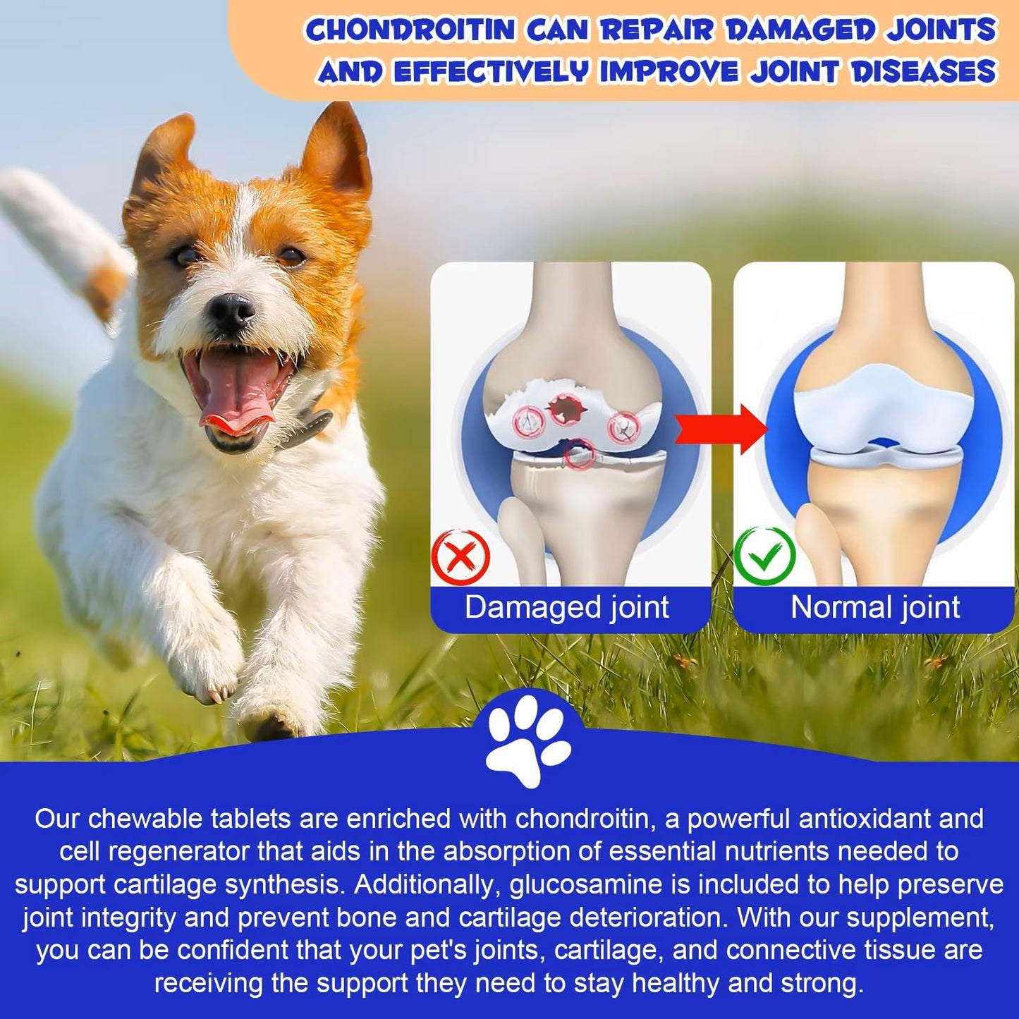 Hyalogic Pro Advanced HyaFlex for Dogs – Amazing Joint Support Supplement for Your Buddy – 30 Beef Flavored Wafers - Dog Joint Supplement w/Hyaluronic Acid, Glucosamine, MSM & Cynatine (30 Tablets)