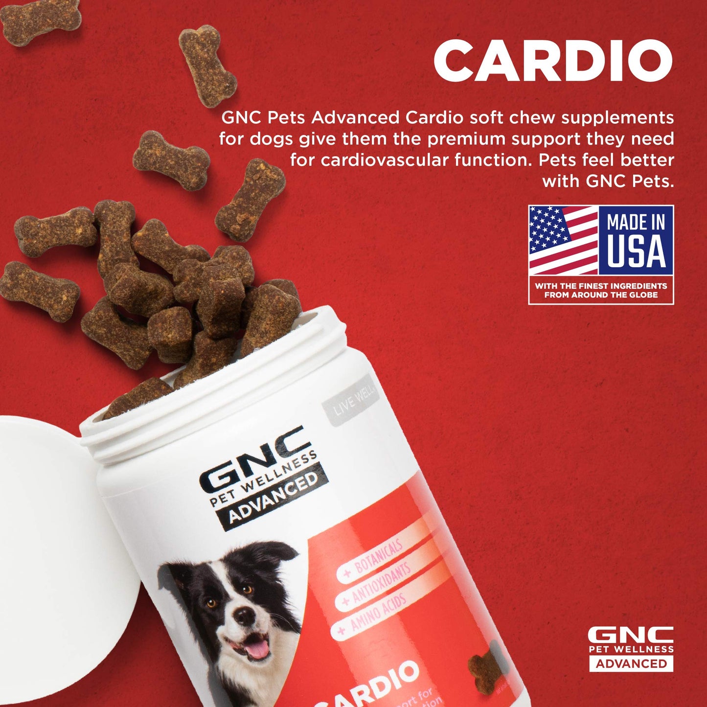 GNC Pets Advanced Dog Supplements, Cardiovascular Support & Heart Health Chews for Dogs, Soft Pet Supplement Made in USA, Cardio Vitamins & Easy to Chew Canine Essentials, 90 Count
