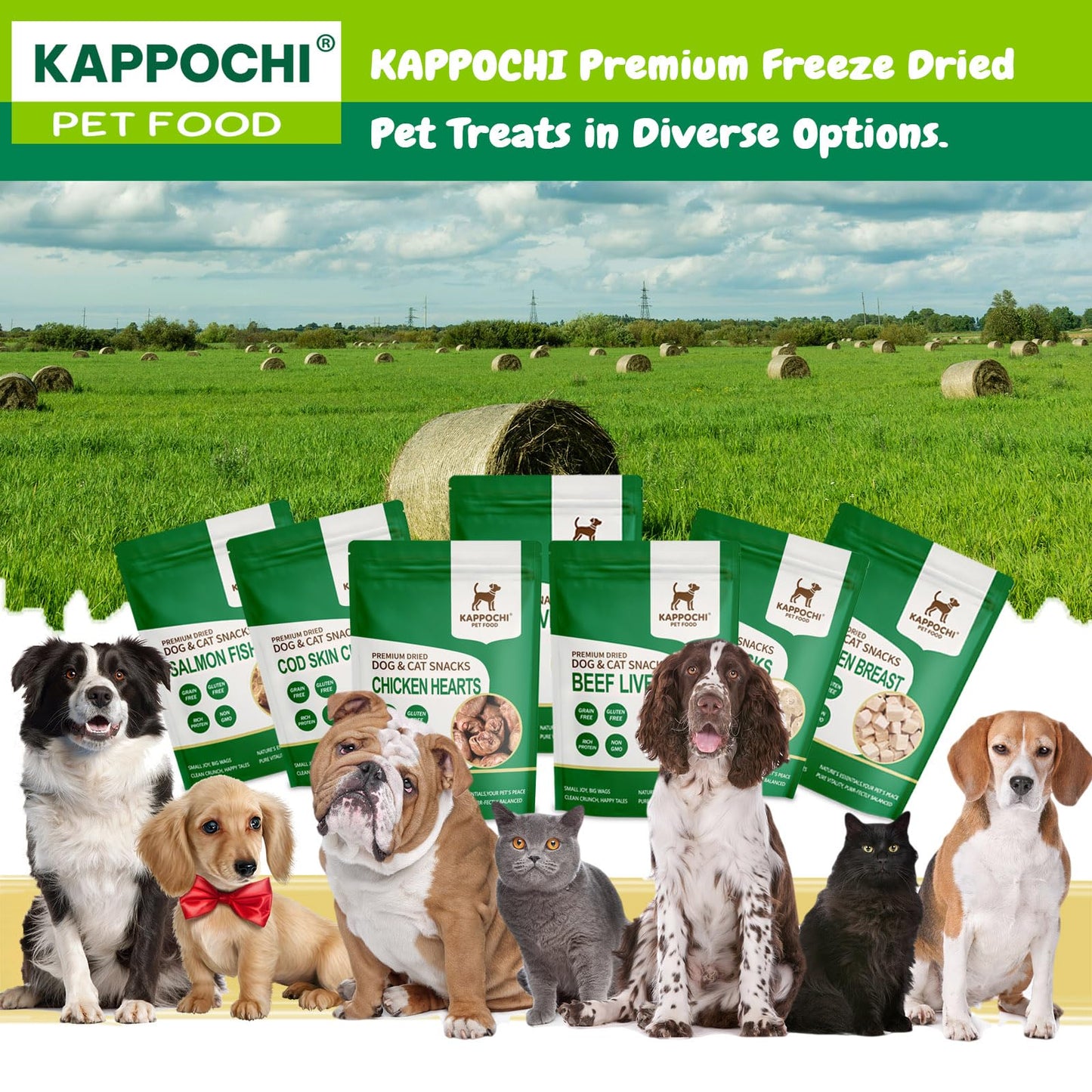 KAPPOCHI Freeze-Dried Chicken Breast Dog Treats, 3.5oz(100.0g), 100% Single Ingredient, Low Fat, High Protein Training Treats, Natural & Raw, No Additives, Grain Free, Gluten Free