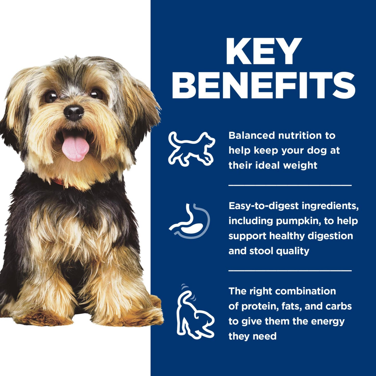 Hill's Science Diet Small & Mini, Adult 1-6, Small & Mini Breeds Premium Nutrition, Wet Dog Food, Variety Pack: Chicken & Vegetables; Salmon & Vegetables Stew, 3.5 oz Tray Variety Pack, Case of 12