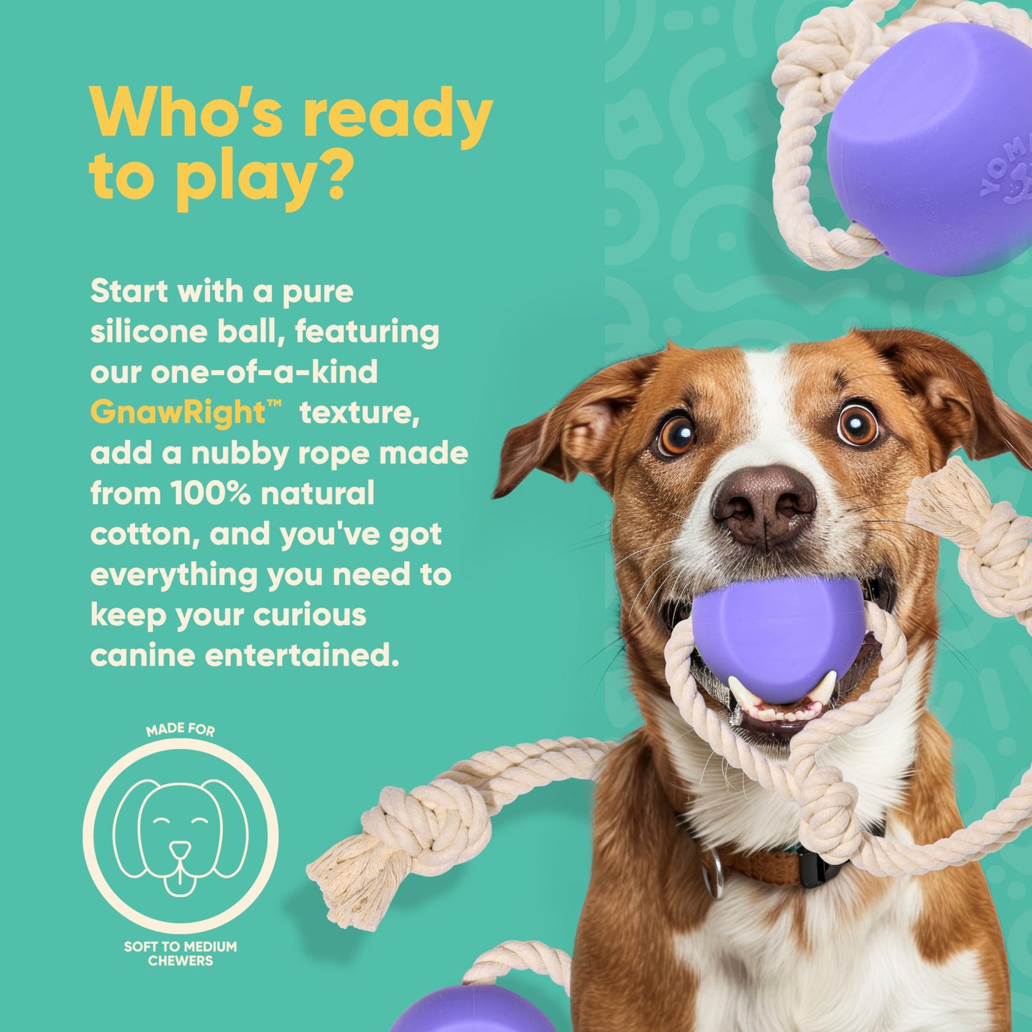 Yomp BallRope Ball on a Rope Dog Toy – Interactive Tug of War Toy for Soft and Medium Chewers, Teething Puppy Ball – Made from Pet-Safe, Non-Toxic Silicone