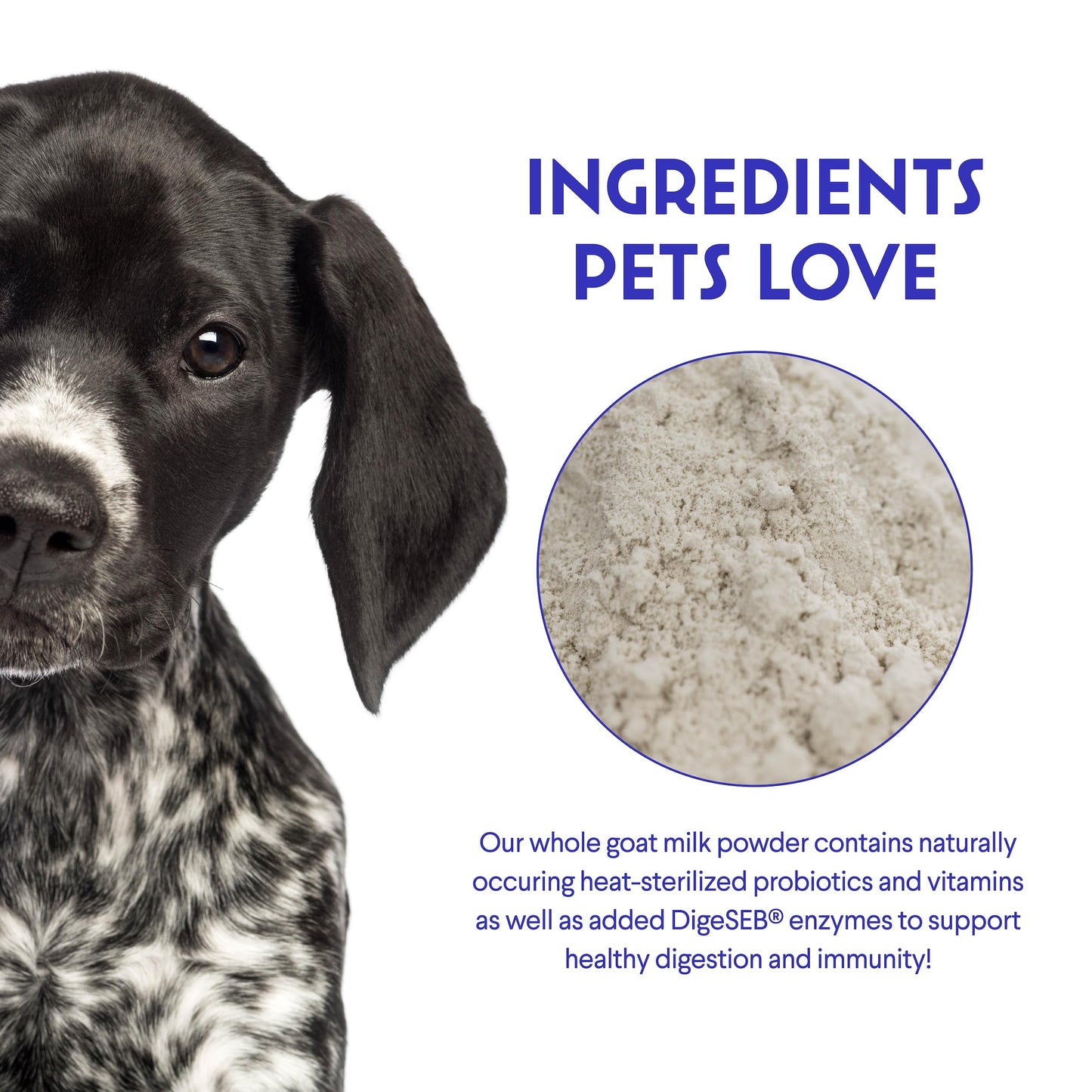 Premium Goat Milk Powder for Dogs – Supports Digestion, Immune Health & Allergies – Goat’s Milk with Probiotics for All Ages, Sizes & Breeds – 8.25 oz