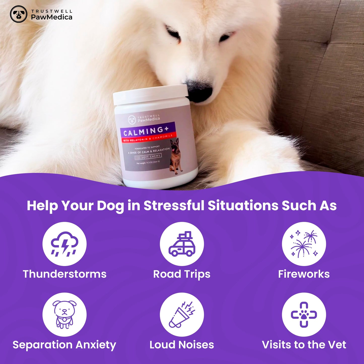 PawMedica Calming Chews for Dogs - Dog Sleep Supplement Melatonin for Dog Anxiety - Recommended Dog Calming Treats for Separation Anxiety and Barking Stress - Dog Melatonin Calming Bites for Fireworks