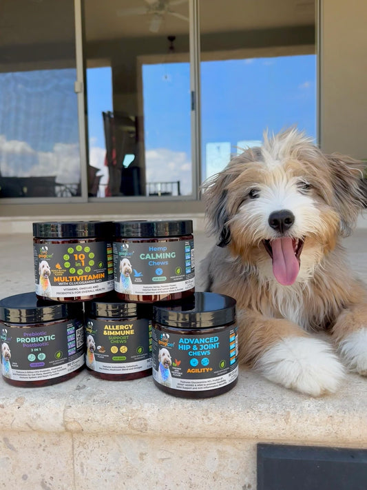 Googipet Dog Allergy Chews, Seasonal Dog Allergy Relief & Itchy Skin Relief, Skin & Coat Supplement +Bee Pollen, Colostrum, Coconut Oil, Probiotics, & Omega 3 Fish Oil for Dogs