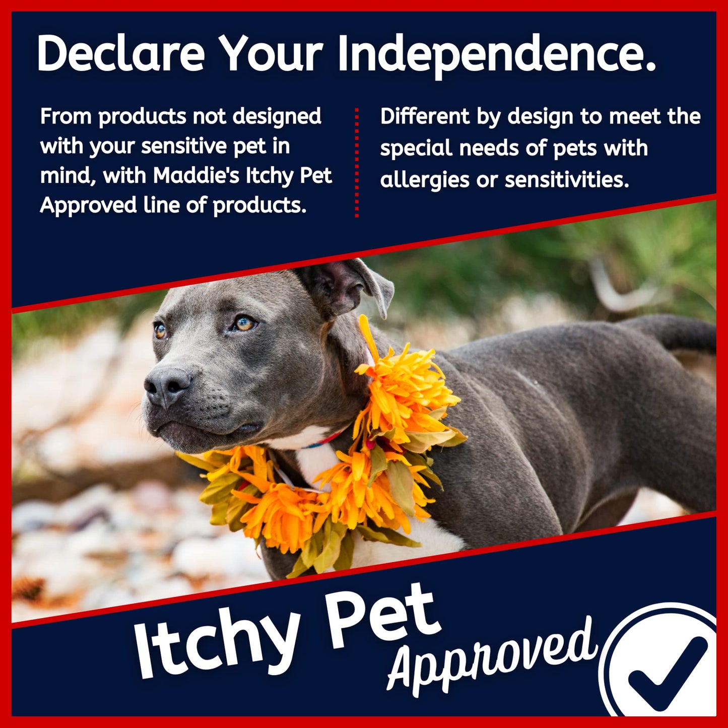 Puppy + Kitten Tearless and Gentle Hypoallergenic 2 in 1 Shampoo + Conditioner - Itchy Pet Approved Line - Fruity Scent