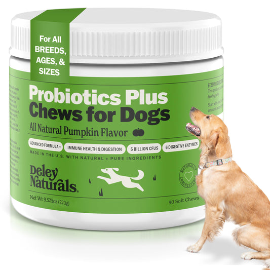 Deley Naturals Probiotics Plus Chews for Dogs, Gut Health Supplement, 5 Billion CFU's, Digestive Enzymes, Prebiotics, Dog Allergies, Diarrhea, Yeast, Pumpkin Flavor, 90 Count - Made in The USA
