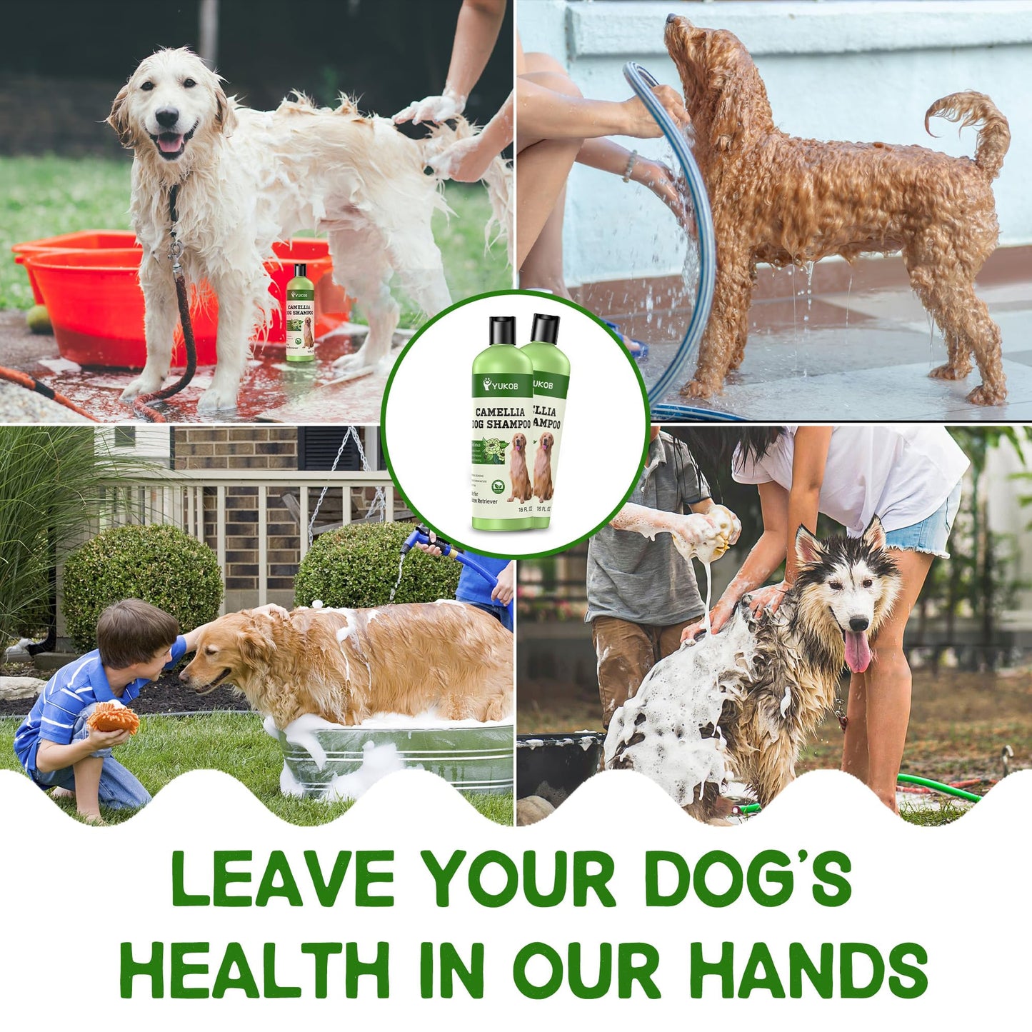Golden Retriever Shampoo for Sensitive Skin - Natural Camellia Deshedding Pet Shampoo | Allergy & Itch Relief | Reduce Shedding & Odor Control for Smelly Dogs | Botanical Scent |16 oz