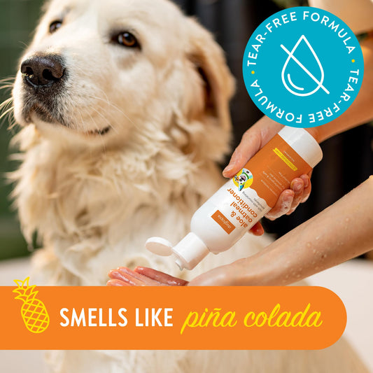 Dogtopia Everyday Aloe & Oatmeal Conditioner – 16oz Piña Colada Scent | Nourishing Pet Combo for Dogs and Pets | Rich with Soothing Emollients | Alcohol-Free, Soapless & Tearless