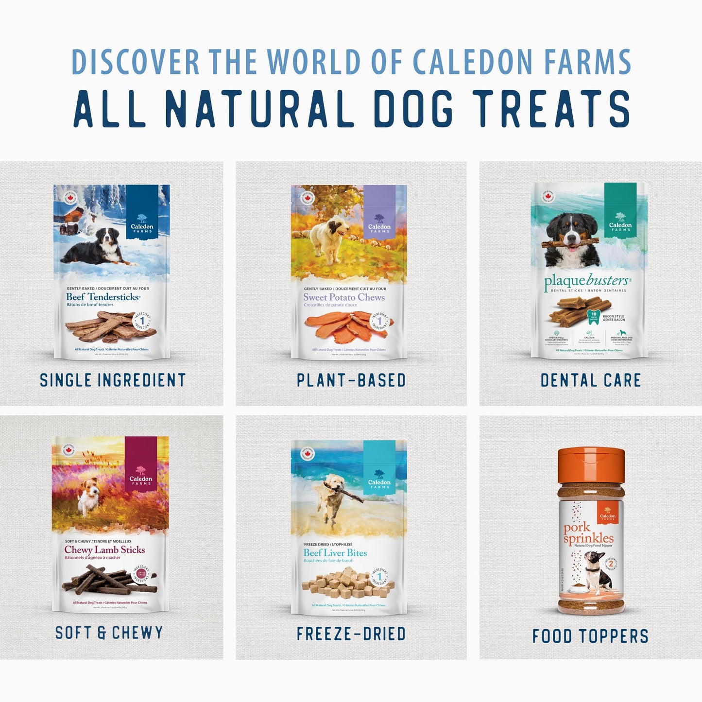 DOGSWELL Dental Chicken Jerky 12 Ounce