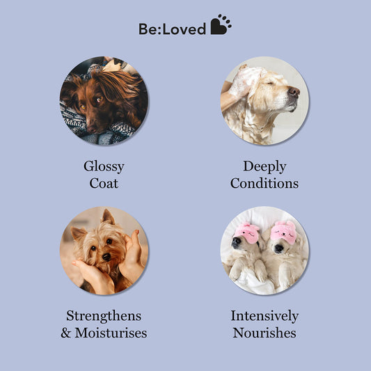 Be:Loved Be:Calm Calming Dog Shampoo Bar – 110g – Natural Formula with Goat Milk, Lavender & Chamomile – Soothes Skin & Conditions Coat – Long-Lasting Bar – Approx. 30 Washes