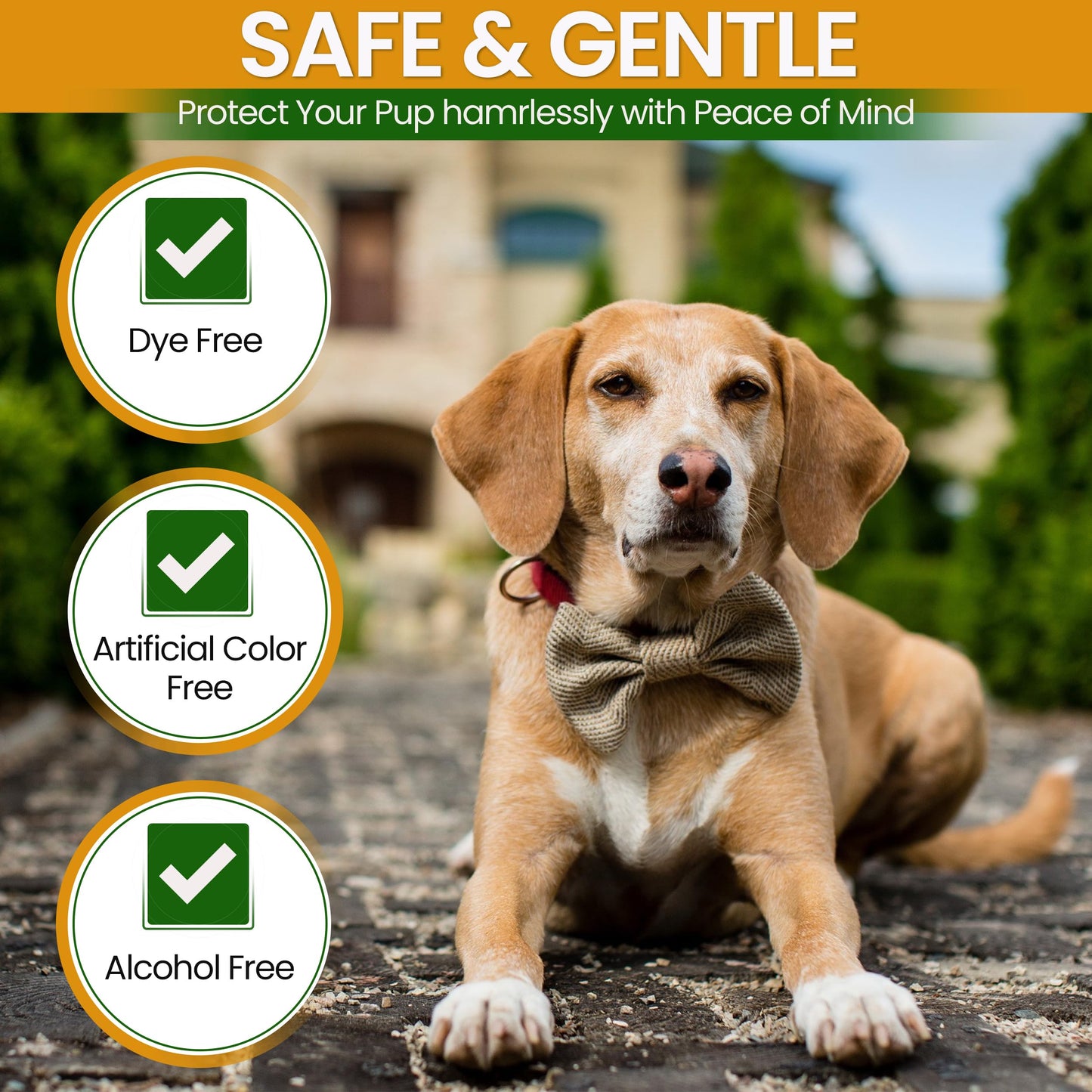 Dry Skin & Anti Itch Shampoo for Dogs | Oatmeal Dog Shampoo | Itchy Skin Relief | Hypoallergenic with Anti Dandruff Treatment | Anti-Fungal & Alcohol-Free | Nutrient-Rich | Suitable for All Pets