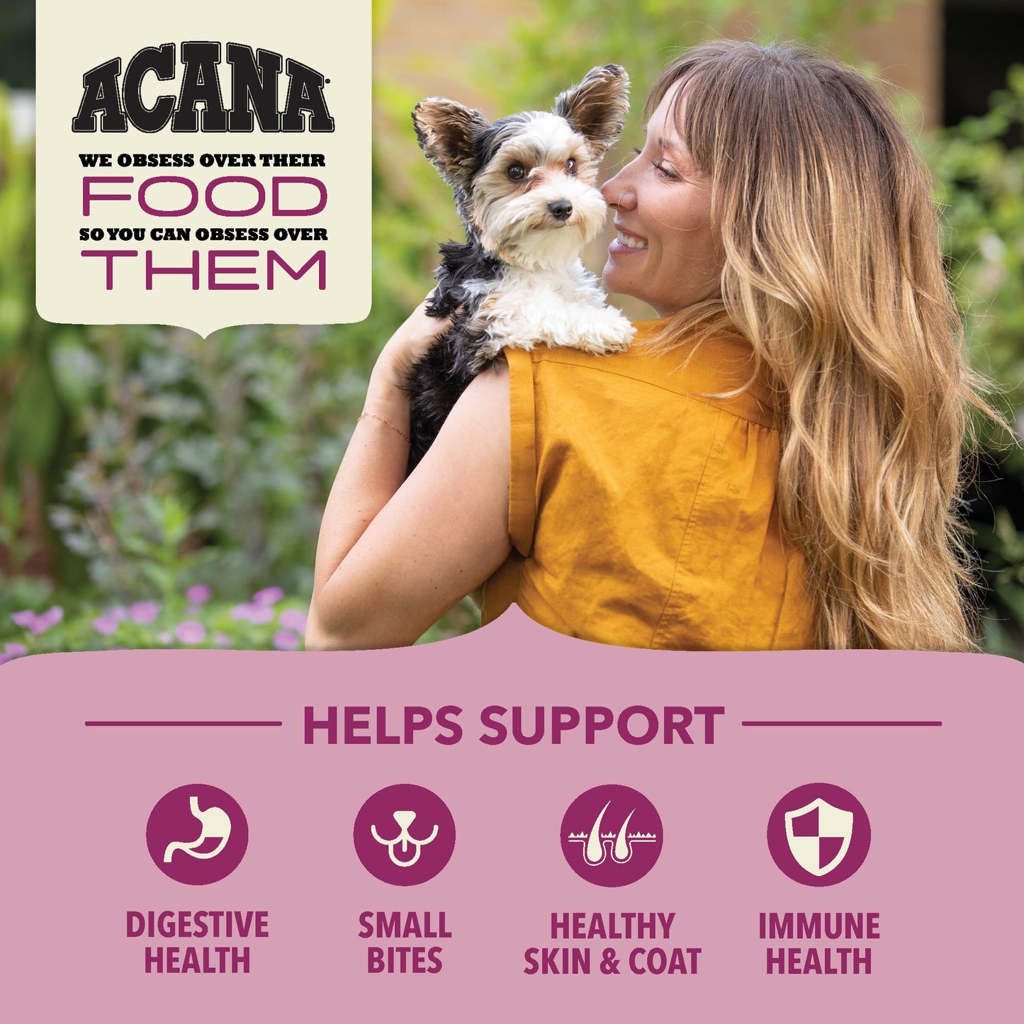 ACANA Wholesome Grains Dry Dog Food Small Breed Recipe Real Chicken Eggs and Turkey 11.5lb Bag