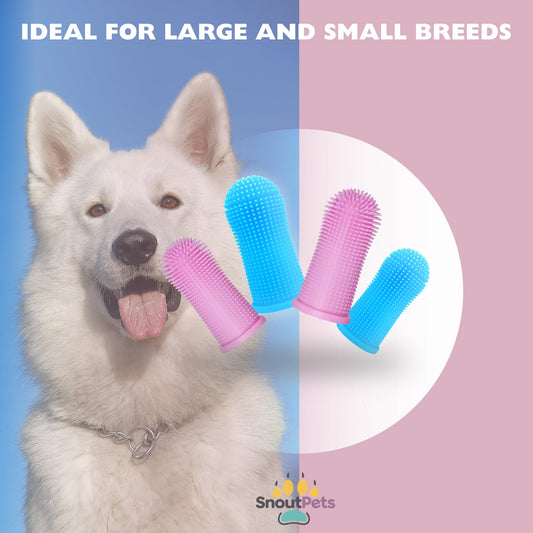 Cylindrical dog toothbrush for Dogs–the Easy to Use Dog Tooth Brushing Kit, With of Toothbrush for Dogs you will get the Hygiene, Takes Care of Teeth and Gums, Ideal for Pets of All Ages-2 Pack