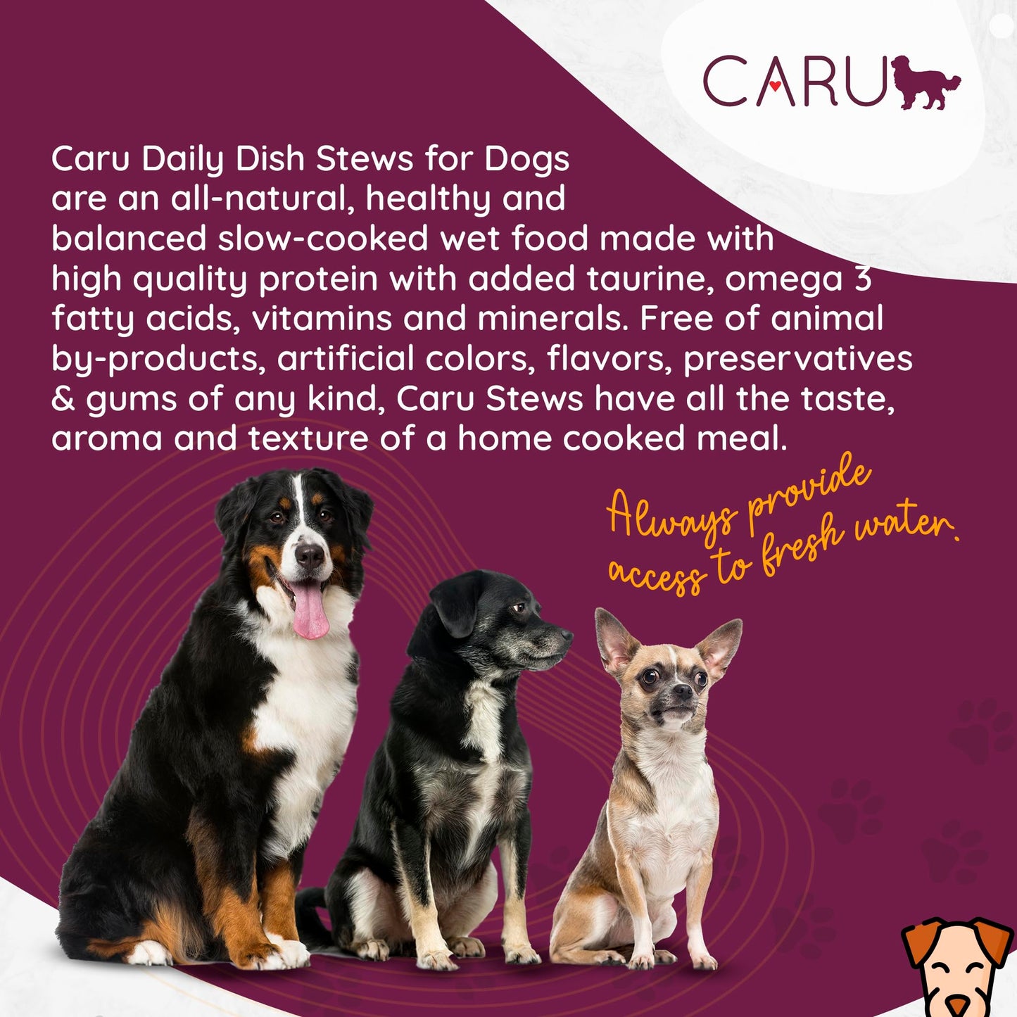 Caru Daily Dish Chicken Stew, Natural Adult Wet Dog Food with Real Chunks of Chicken, with Added Vitamins & Minerals, Non-GMO Ingredients (12.5 oz) - 12 Pack