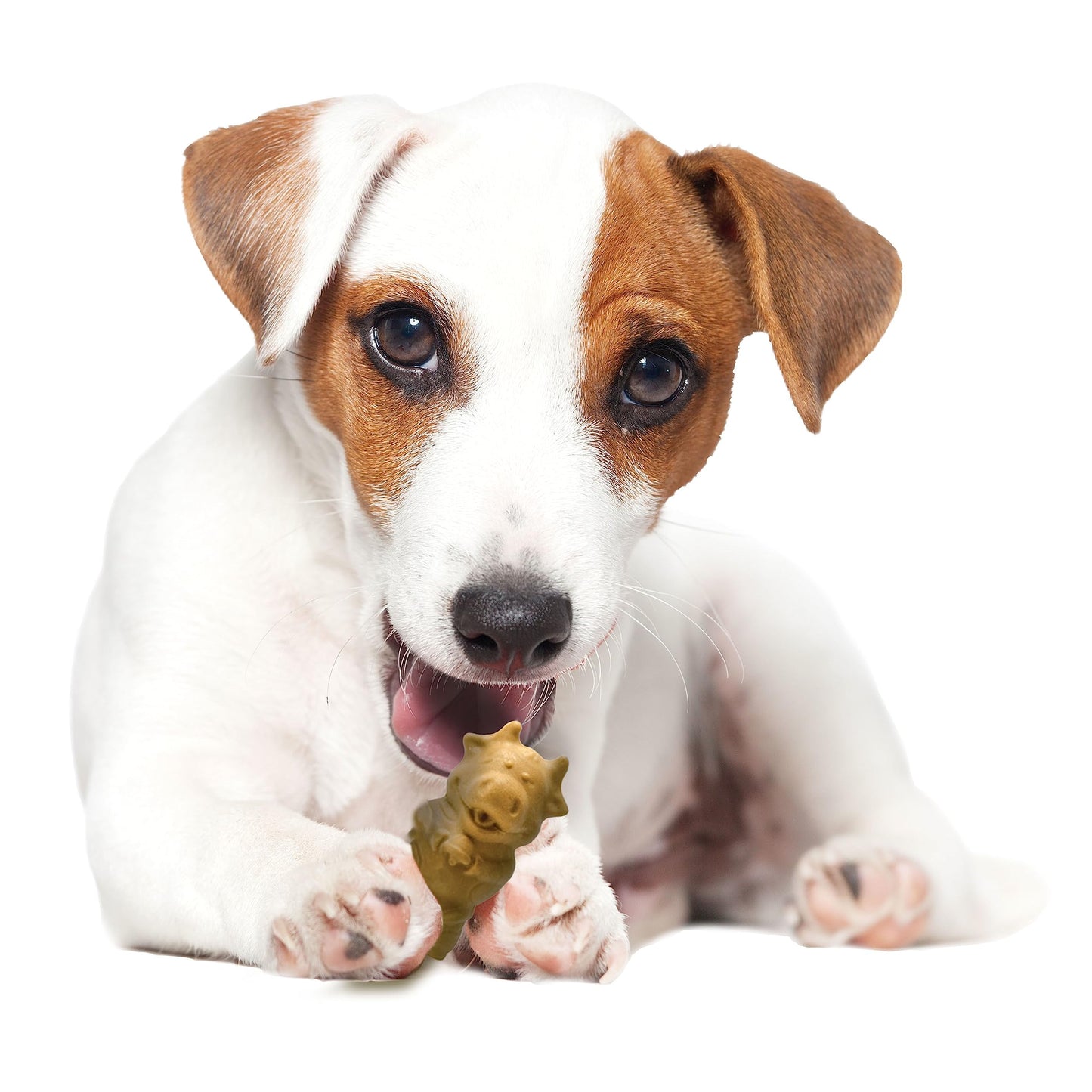 Nylabone Healthy Edibles Natural Puppy Chews Long Lasting Treats for Puppies, Lamb & Apple Flavor, Small/Regular (12 Count)