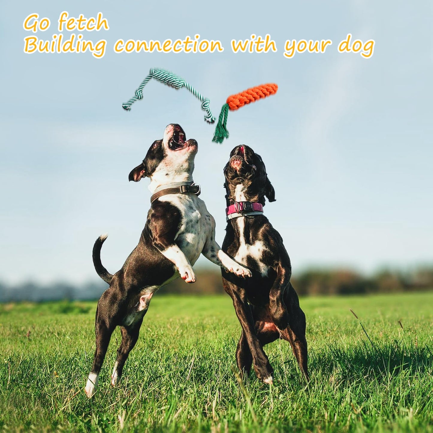 Squeaky Dog Toys for Puppy Small Stuffed Toys with Rubber Toys in Bulk Plush Dog Toy Safe Fetch Chew Toys Pack for Chewing and Teething (8 PCS Cotton Knot)