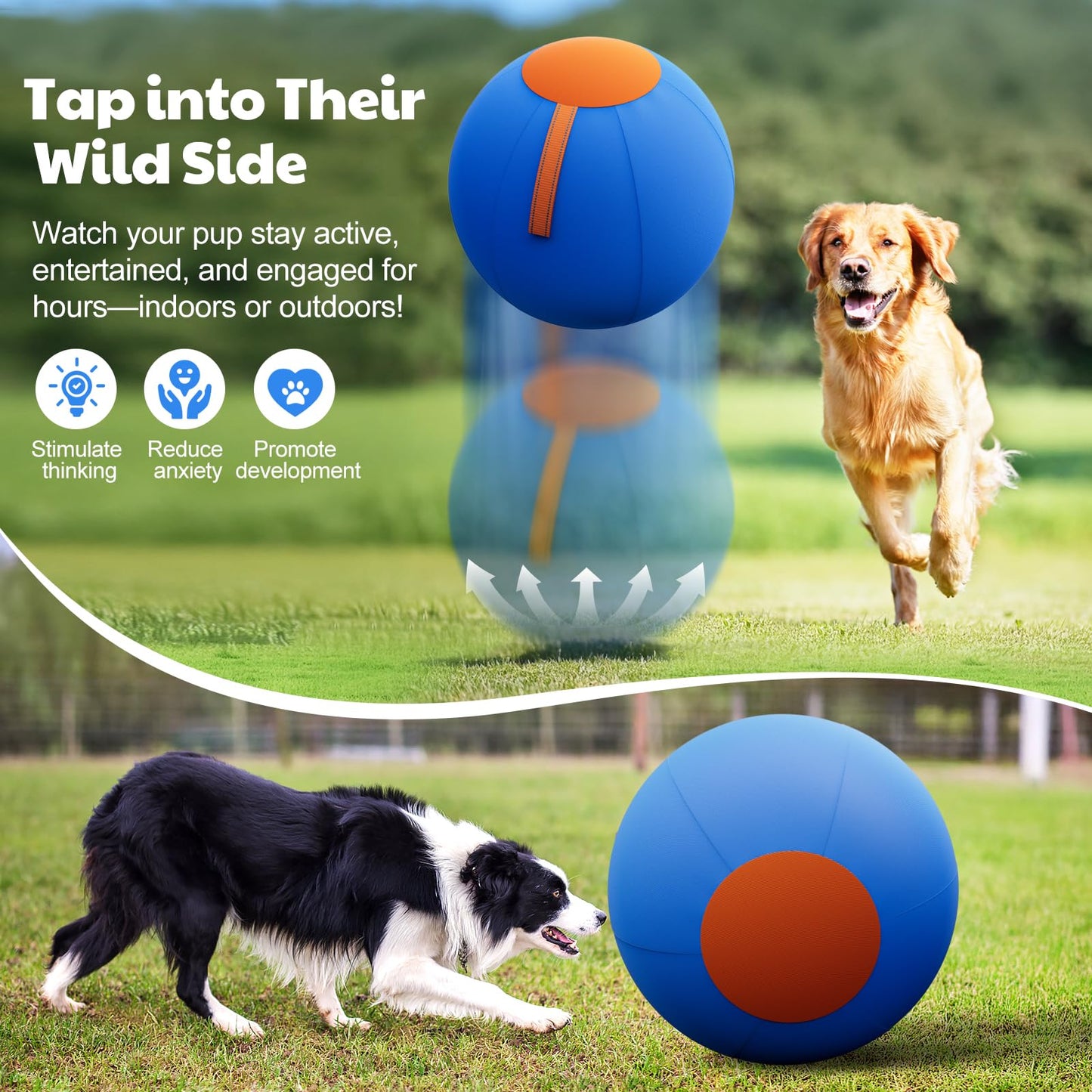 Happypaw 18'' Herding Ball for Dogs – Durable Dog Toy Agility Equipment for Australian Shepherds, Cattle, Border Collies, and Small/Medieum Breeds, Outdoor Dog Toys