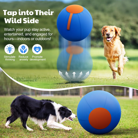 Happypaw 18'' Herding Ball for Dogs – Durable Dog Toy Agility Equipment for Australian Shepherds, Cattle, Border Collies, and Small/Medieum Breeds, Outdoor Dog Toys