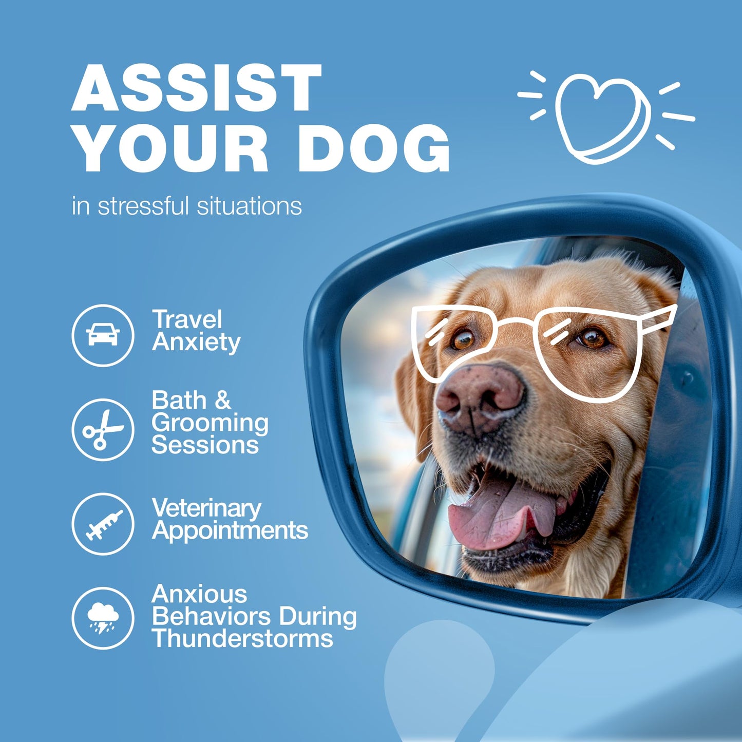 Hemp Calming Chews for Dogs Anxiety Relief - Dog Calming Treats with Melatonin, Chamomile Extract, Valerian Root - Travel Pack - Anxiety Relief Chews for Vet Visits, Grooming, Nail Trimming, Storms