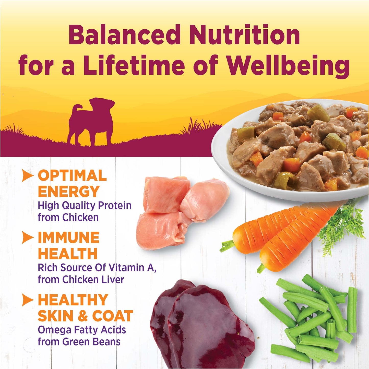 Wellness Petite Entrees Mini Fillets Natural Wet Small Breed Dog Food, Roasted Chicken, Beef, Carrots & Green Beans, 3-Ounce Cup (Pack of 24)