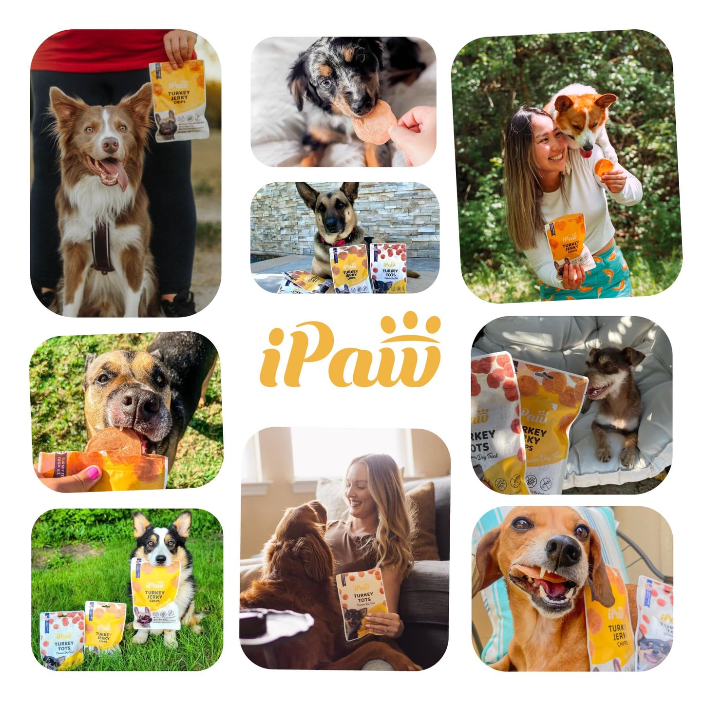 iPaw Chicken Tots Dog Treats for Puppy Training, All Natural Human Grade Dog Treat, Hypoallergenic, Easy to Digest (Chicken Tots)