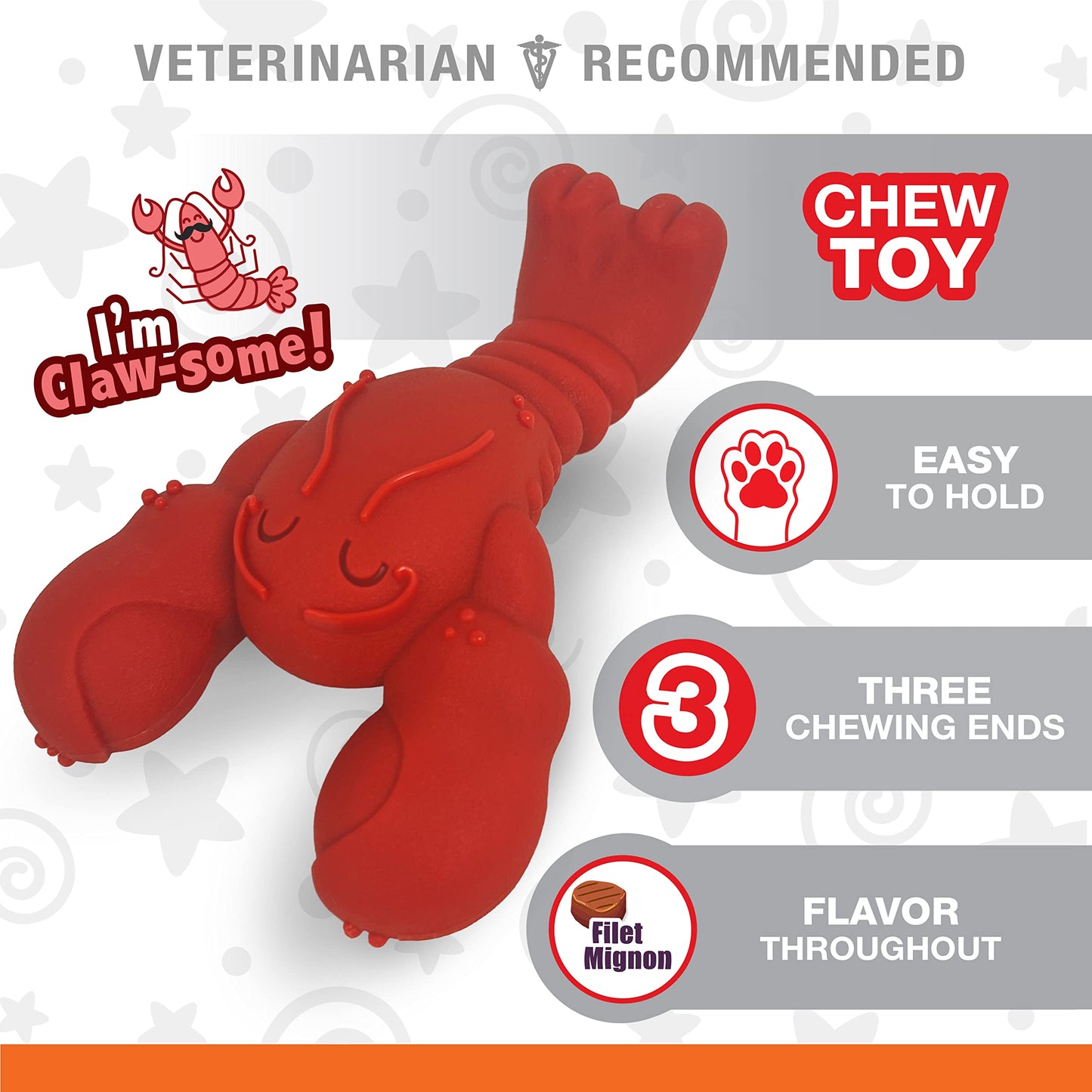 Quizvi Dog Chew Toy for Aggressive Chewers – Tough Nylon Bone with Bacon Flavor for Pitbulls & Large Dogs, Indoor Play for Teeth Cleaning & Anxiety Relief