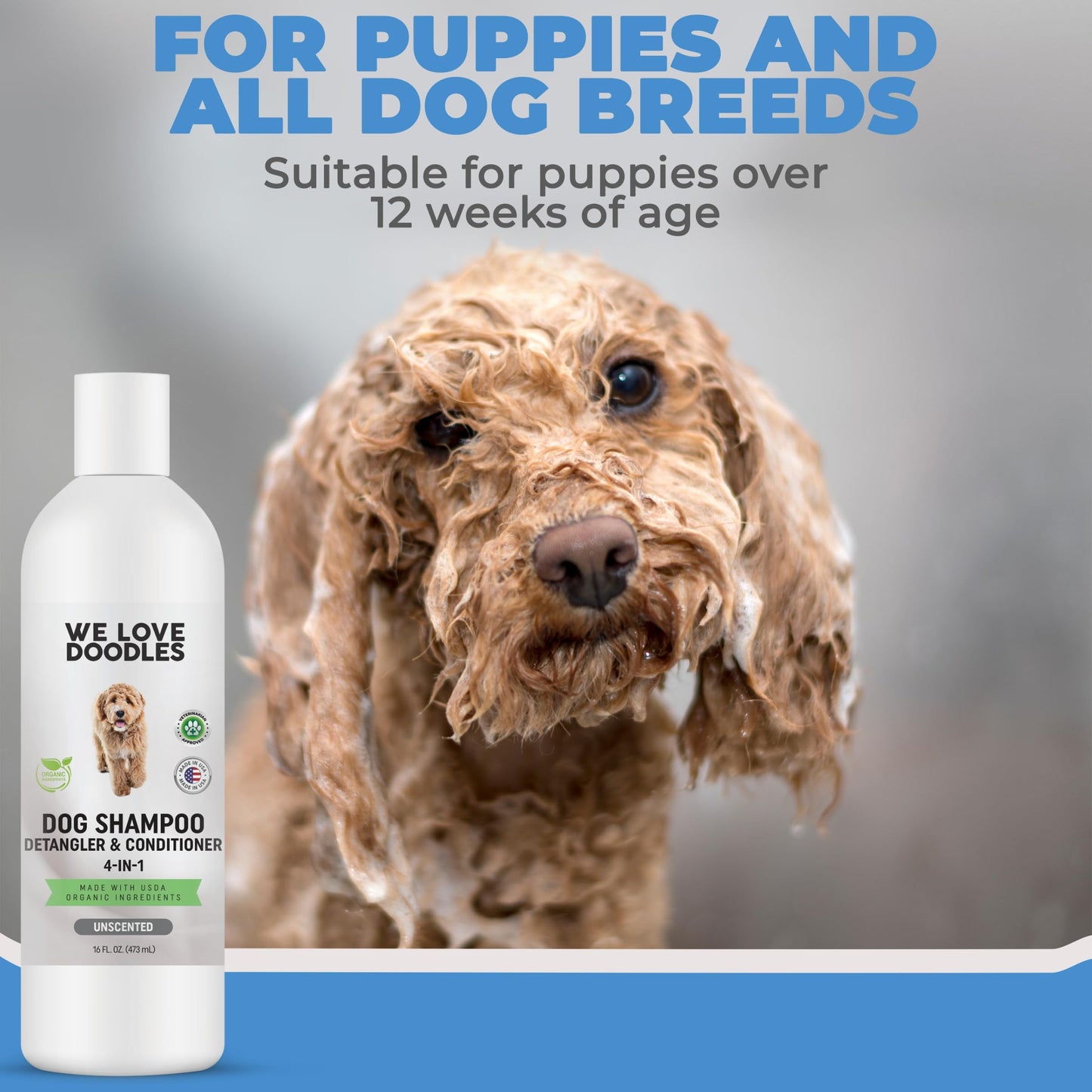 Healthy Breeds Kerry Blue Terrier Hypo-Allergenic Shampoo 8 oz