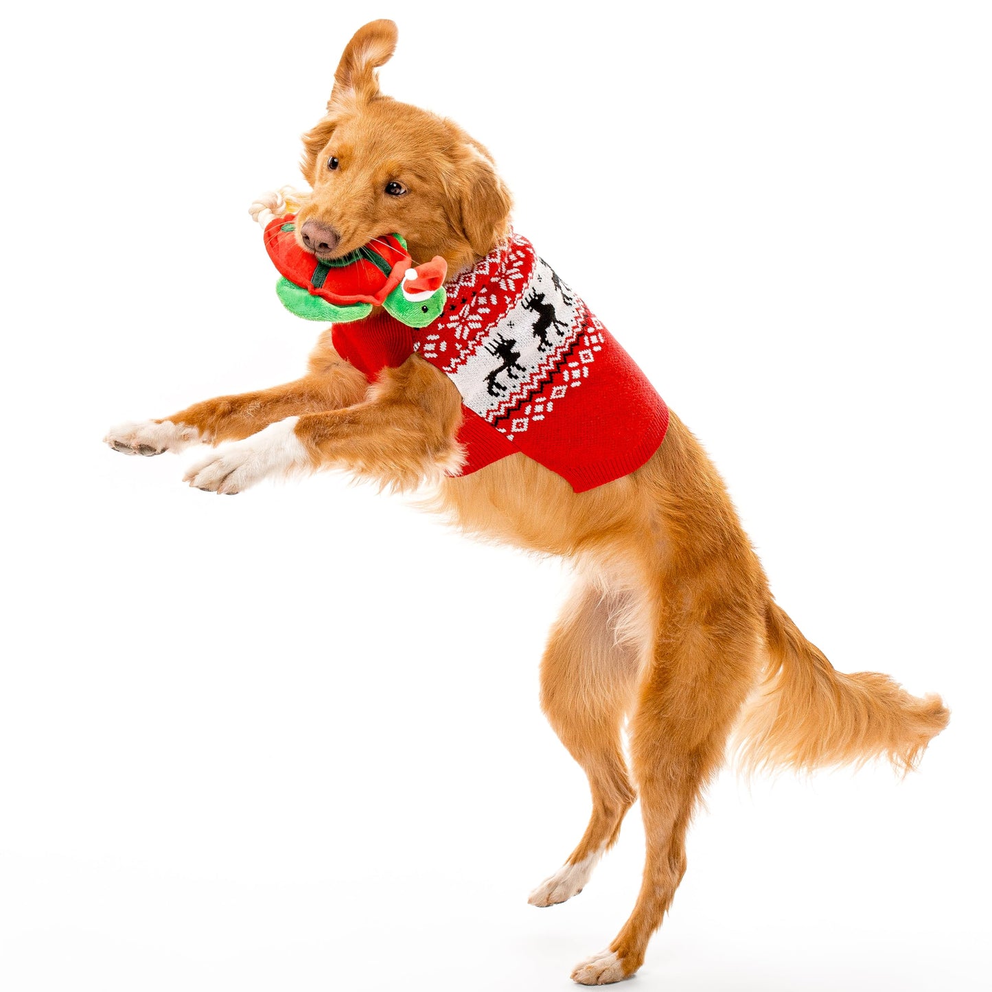 GRRREEN Dog Toys | Holiday Plush Toy Turtle Stuffed Animal for Dogs | Medium Eco Friendly Toy - Easy to Clean and Made from Non Toxic Materials