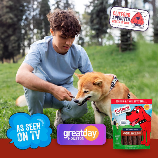 Clifford The Big Red Dog Soft Training Treats for Puppies and Dogs – Healthy, High Protein, Grain Free, Soft Puppy Treats for Small Dogs and Large – Real Crunchy Beef Sticks – 24ct