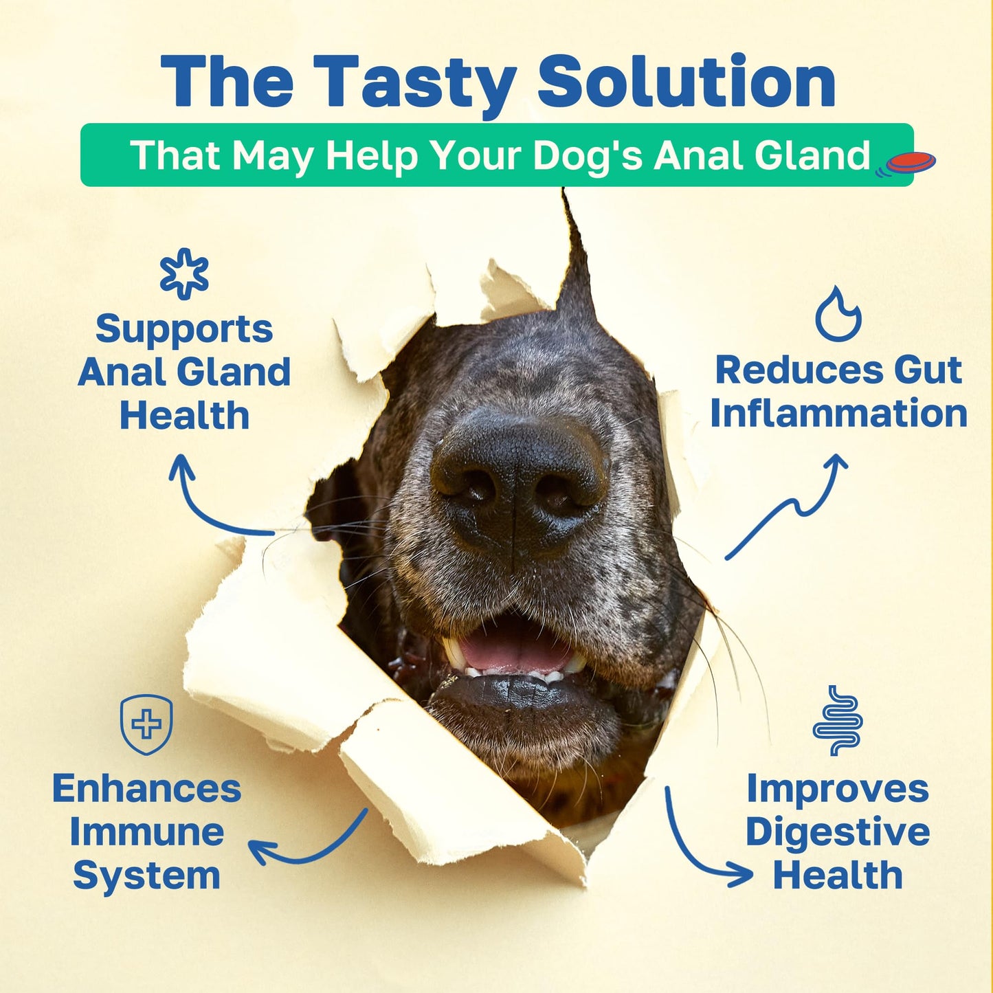 Happy Paws Scoot Stop Dog Chews, Anal Gland Support for Dogs, Soft Chews with Coconut Oil, Pumpkin, Sweet Potato & Sea Kelp for Healthy Digestion, Organic, Non GMO, Vegan, Chicken Flavor, 100 Count