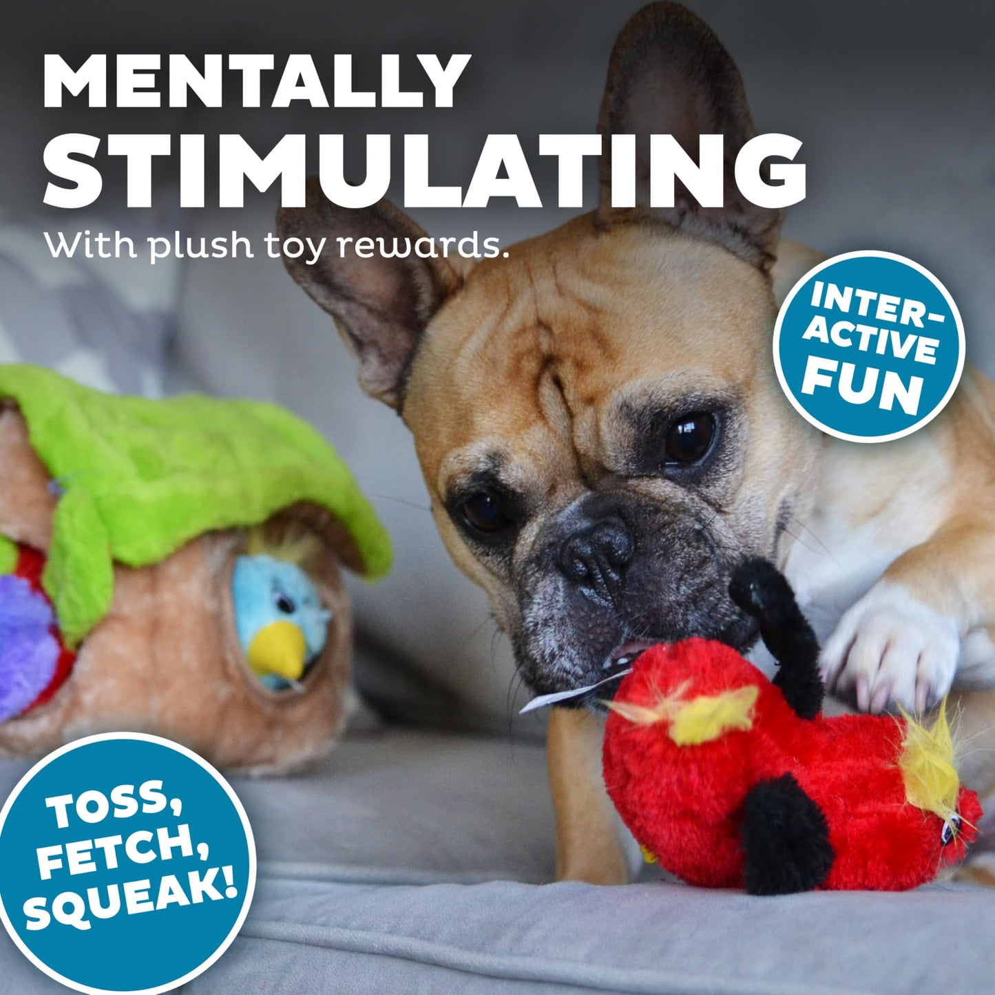 Outward Hound Hide A Bird Plush Dog Toy Puzzle