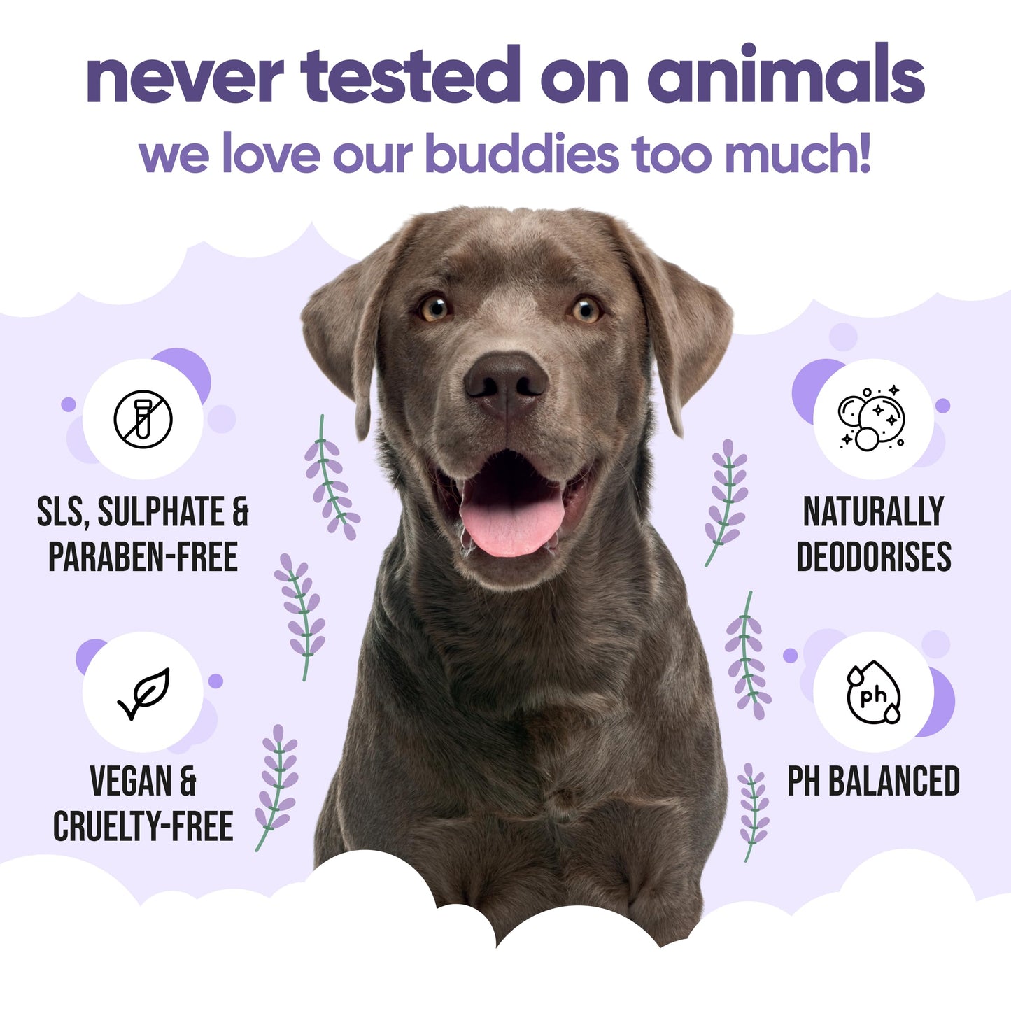 Calming & Deodorising Dog Shampoo by Buddycare | Lavender Scented | Itchy Skin Relief for Smelly Dogs | Deep Cleansing Shampoo for Dogs Puppy Sensitive Skin | with Aloe & Vitamin B5 (16.90oz)