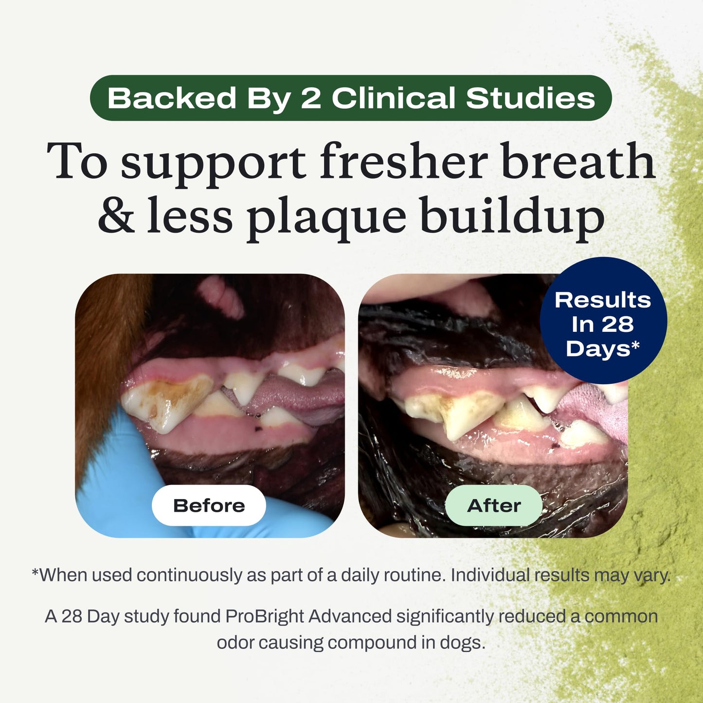PetLab Co. ProBright Advanced Dental Powder - Dog Breath Freshener - Teeth Cleaning Made Easy – Targets Tartar & Bad Breath - Packaging May Vary - Formulated for Small Dogs