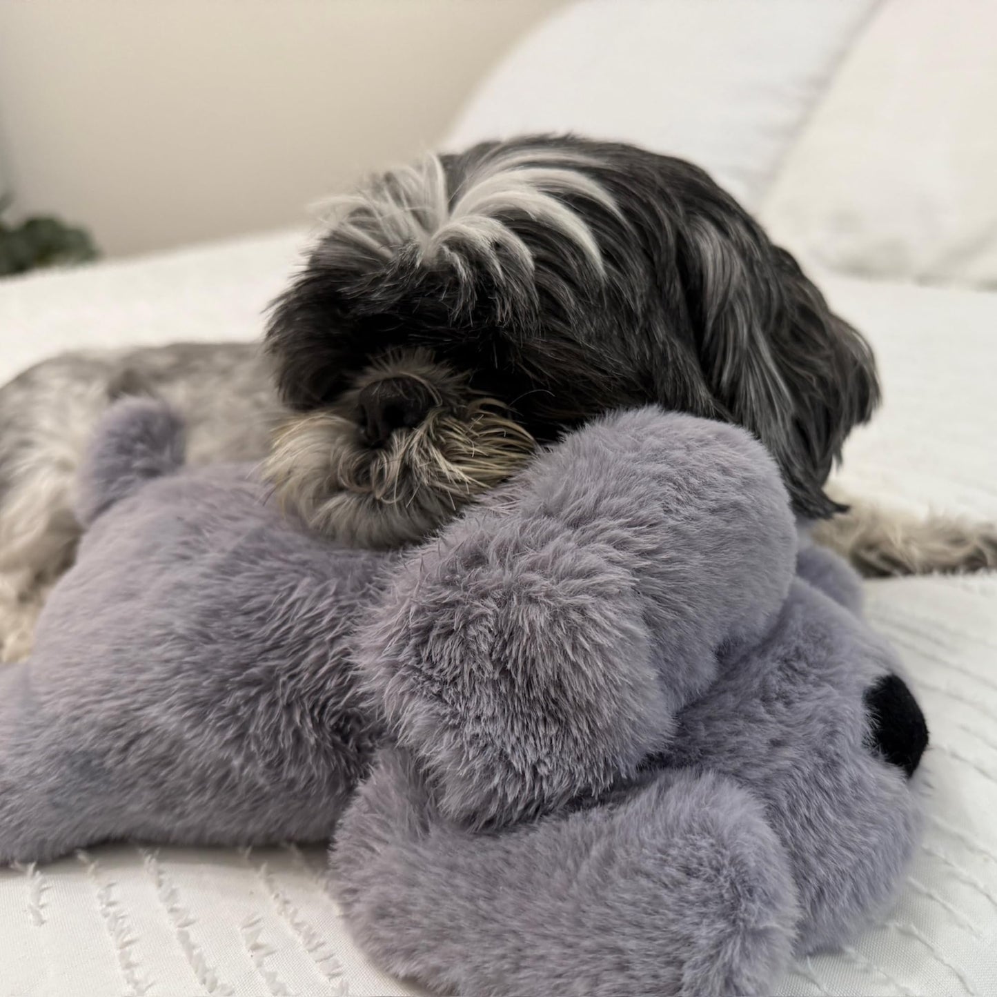 Original Snuggle Puppy Toys for Small Breeds - Heartbeat Puppy for Dogs - Pet Anxiety Relief and Calming Aid - Comfort Dog Toys for Behavioral Training. Heat Pack not Included