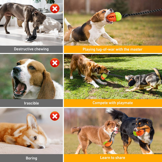 Interactive Dog Toys Tug of War, Stimulating Chew Toy Suction Cup Tug of War Enrichment Rope Boredom Busy Self Play Food Teething, Indestructible Puzzle Toys & Treat Dispensing Ball for Dog Enrichment