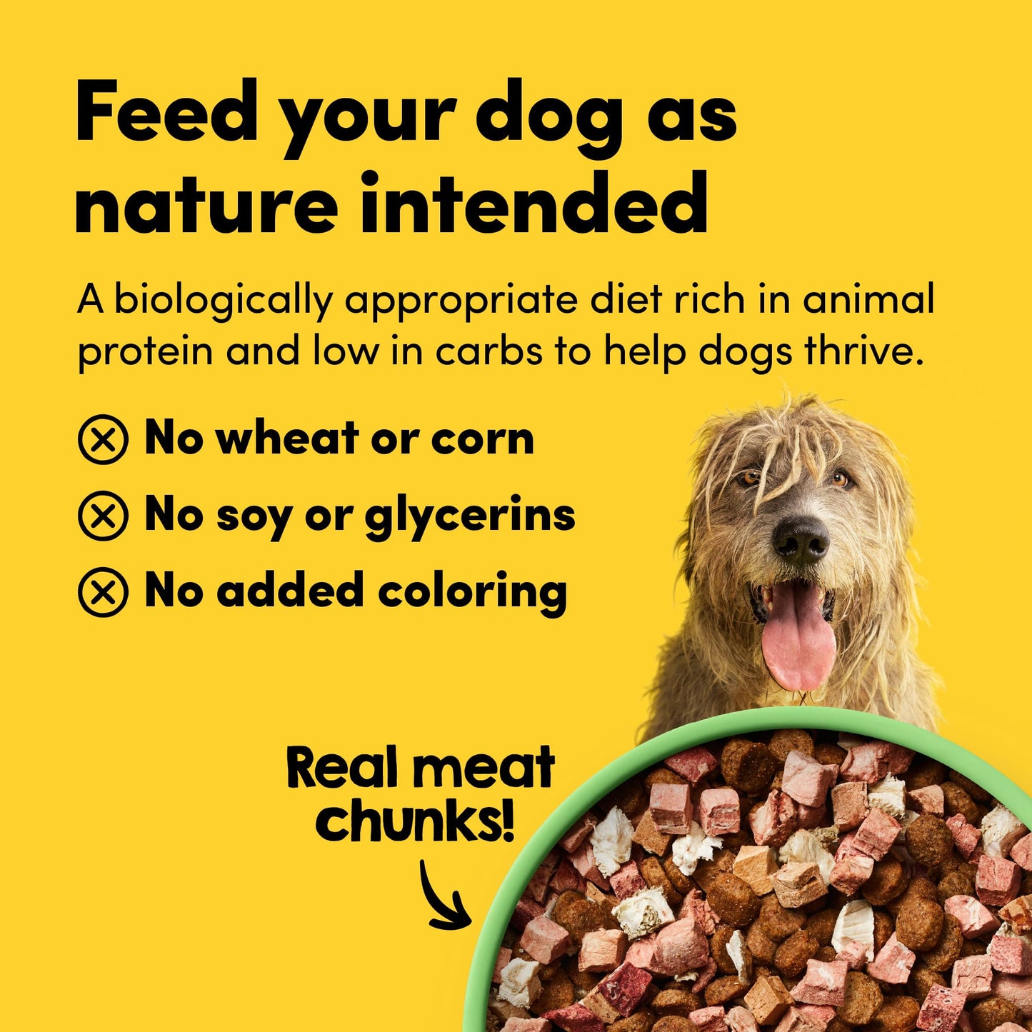 Blue Buffalo Delights Natural Adult Small Breed Wet Dog Food, Variety Pack, Made with Natural Ingredients, Filet Mignon & New York Strip Recipe in Hearty Gravy, 3.5-oz. Cups (12 Count, 6 of Each)