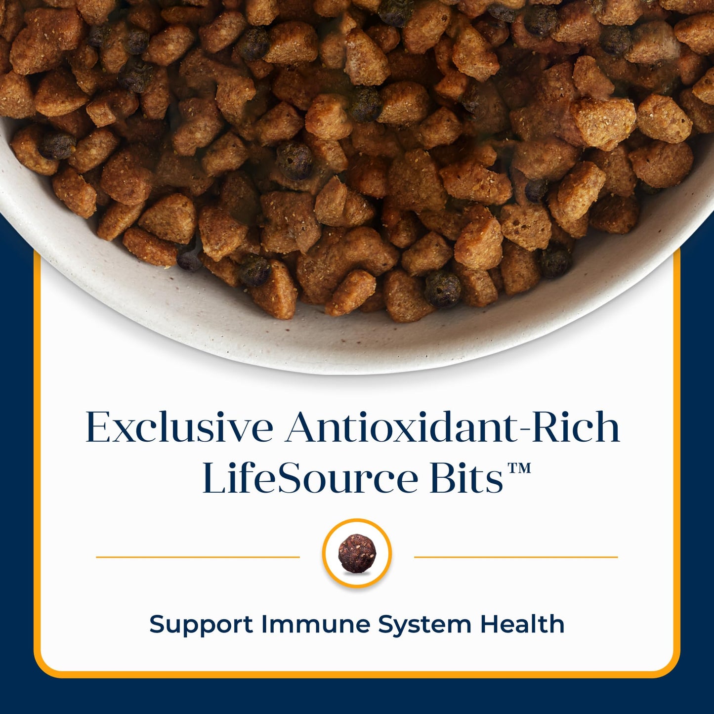 Blue Buffalo Basics Healthy Weight Adult Dry Dog Food, Skin & Stomach Care, Limited Ingredient Diet for Dogs, Turkey Recipe, 4-lb. Bag