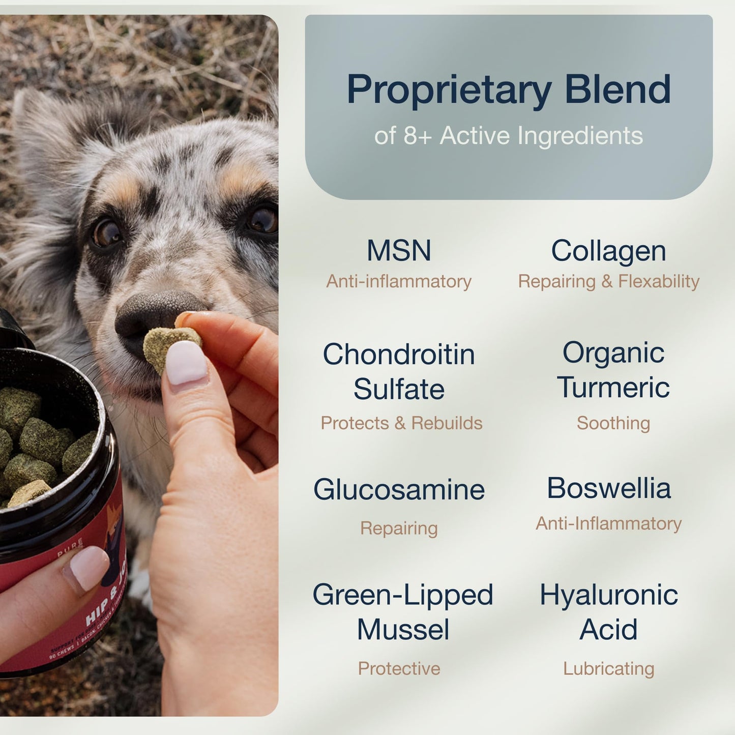 Pure Dogs Hip & Joint Dog Chews - Glucosamine Chondroitin & Green Lipped Mussel for Joint Pain Relief, Function & Mobility, Gut & Digestive Support - for Large & Small Breeds - 90 Chews