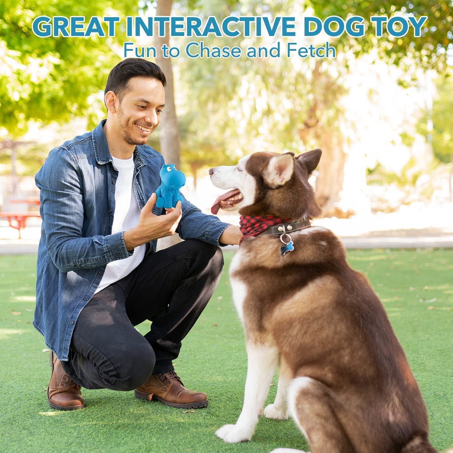 petizer Squeaky Dog Toy and Dog Chew Toy Set