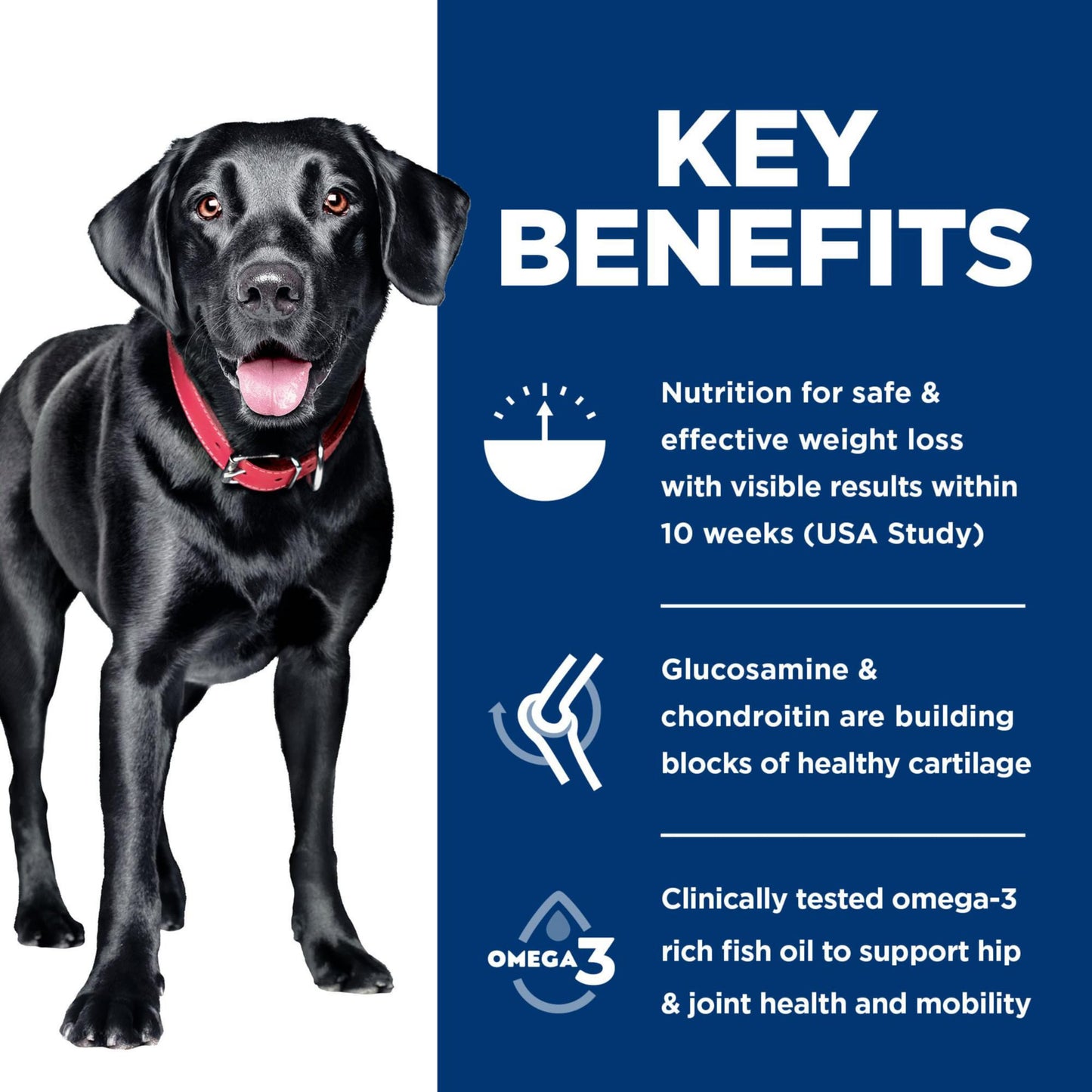 Hill's Science Diet Perfect Weight & Joint Support Large Breed Adult Dry Dog Food 1-5,Quality Protein for Weight Management & Joint Support, Chicken & Brown Rice, 25 lb. Bag