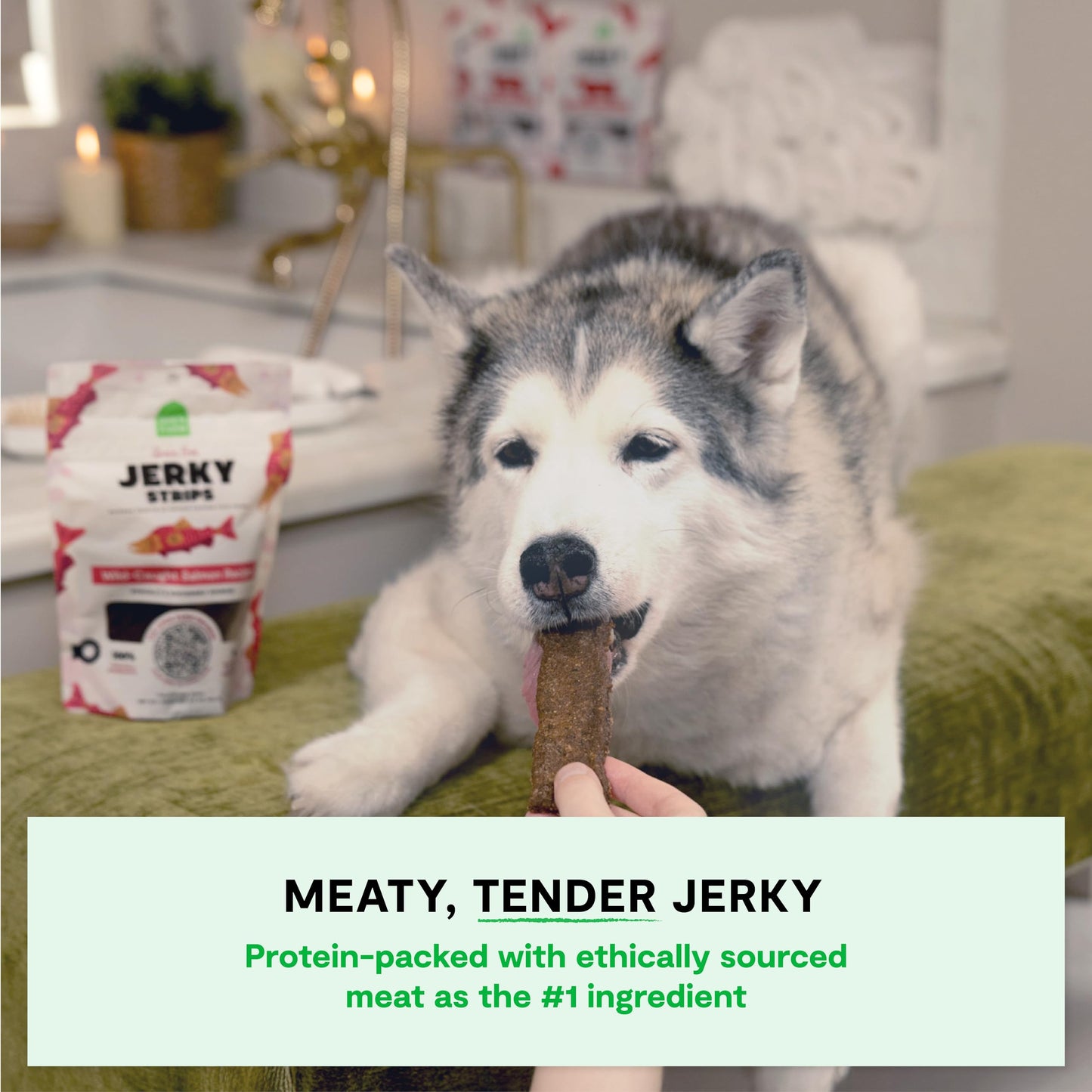 Open Farm, Dog Jerky Treats, Soft & Chewy Oven-Baked Jerky Strips Made with Ethically & Sustainably Sourced Ingredients, Protein Packed Dog Treats, Grain-Free Wild-Caugh Salmon Recipe, 5.6oz Pouch