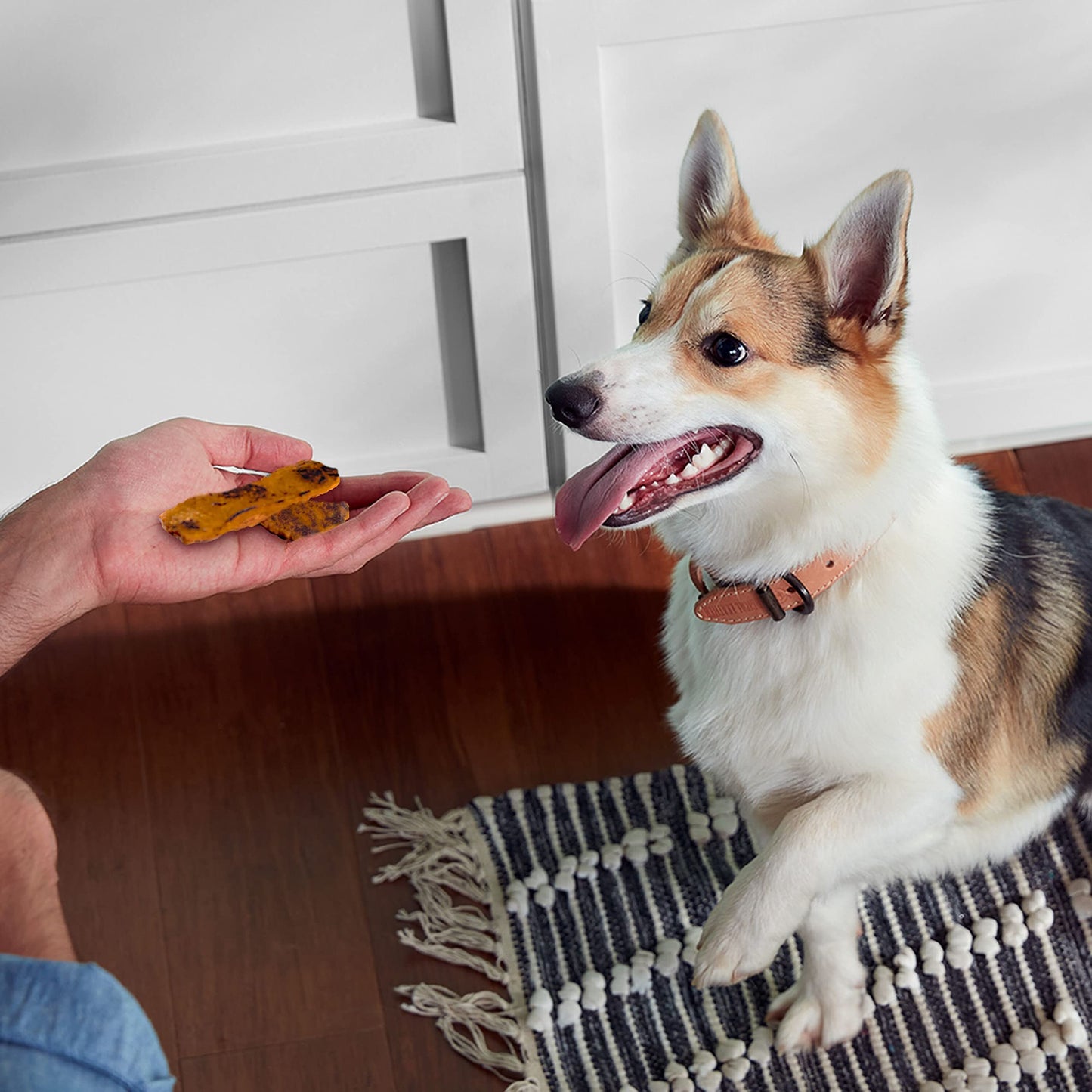 Nutrish Rachael Ray Turkey Bites Turkey Recipe with Hickory Smoke Bacon Flavor Dog Treats, 5 oz. Pouch, 5 Count