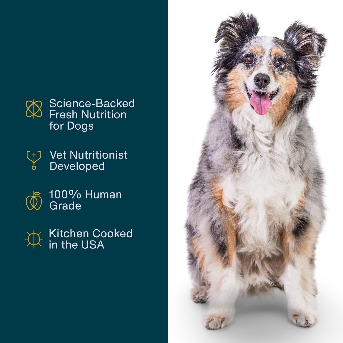 JustFoodForDogs Frozen Fresh Dog Food Topper, Variety Pack, Beef & Turkey Human Grade Dog Food Recipes, 5.5 oz (Pack of 18)