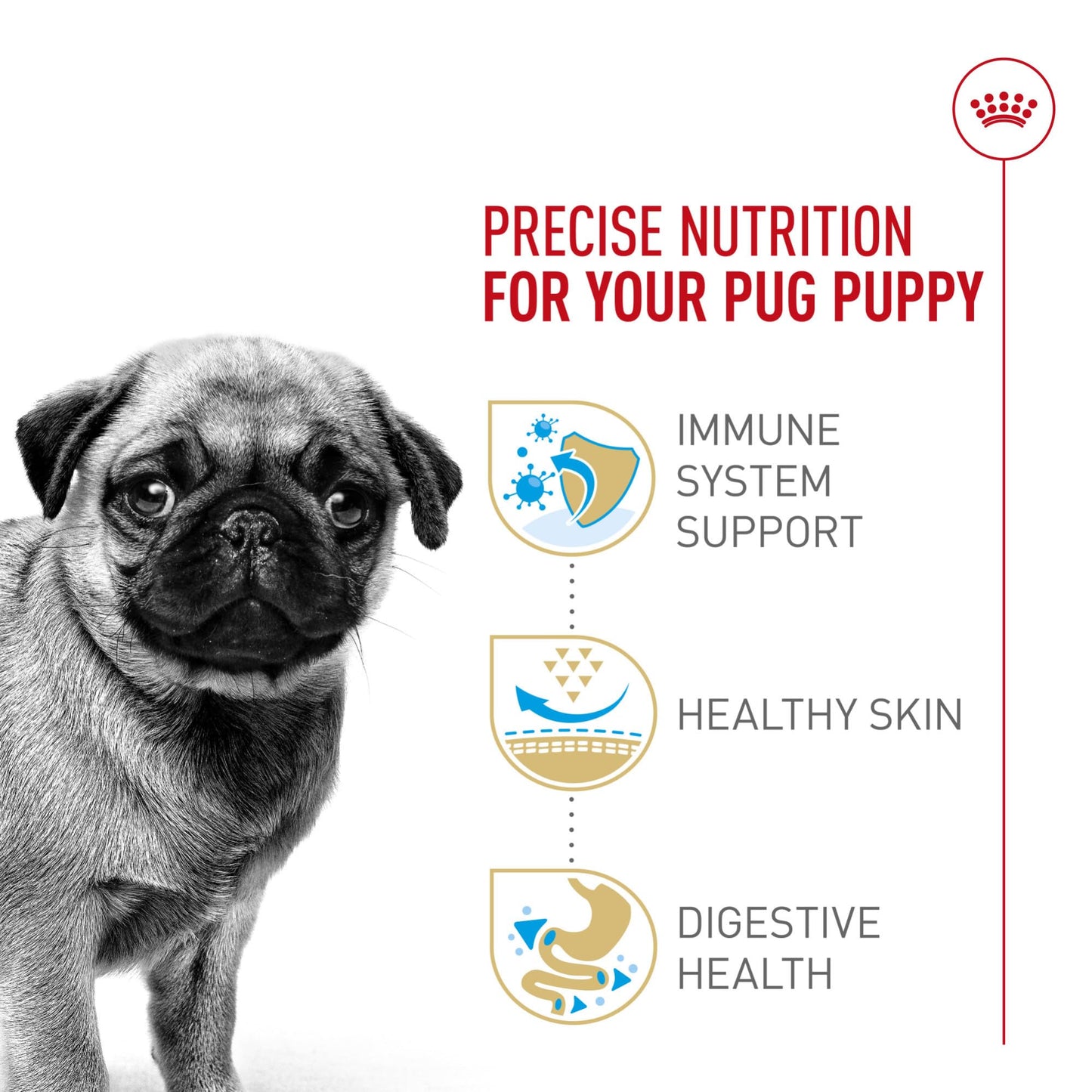 Royal Canin Breed Health Nutrition Pug Puppy Dry Dog Food, 2.5 lb Bag
