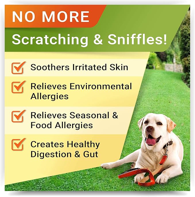 Allergy Relief + Hemp Calming Dogs Bundle - Itchy Skin Treatment + Anxiety Relief - Omega 3 & Pumpkin + w/Hemp Oil - Dogs Itching & Licking + Storm, Separation, Barking - 480 Chews - Made in USA