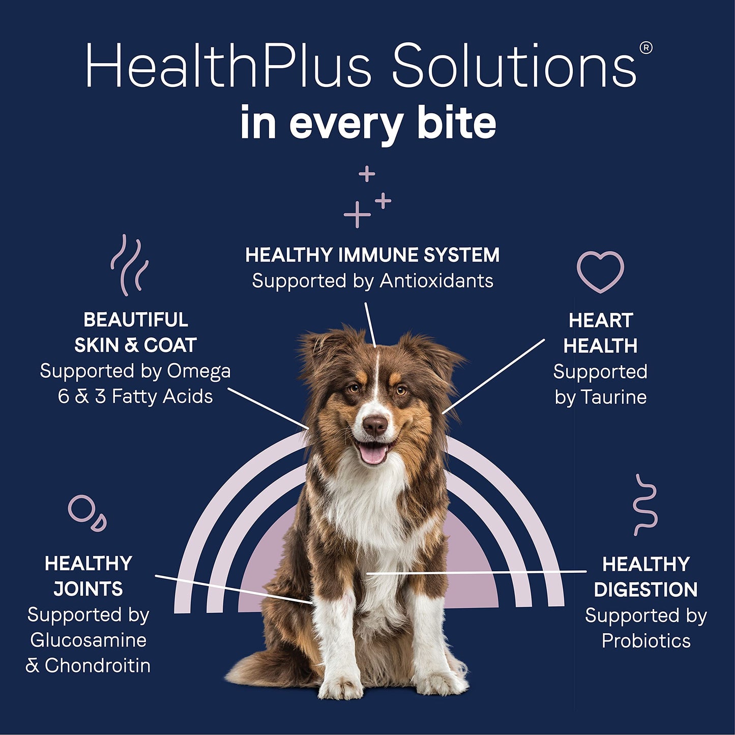 Canidae Pure Limited Ingredient Premium Adult Dry Dog Food, Real Bison, Lentil & Carrot Recipe, 10 lbs, Grain Free