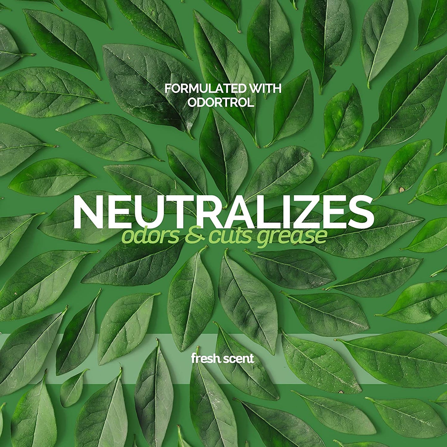 Bark2Basics Deodorizing Dog Shampoo, 16 oz - Powerful Odor Neutralizer Odortrol, Naturally Derived Ingredients, Eliminates Smelly Pet Odors, Professional