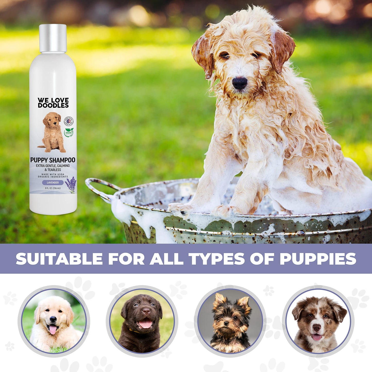 earthbath, Ultra-Mild Wild Cherry Puppy Shampoo - Extra Gentle & Tearless Dog Shampoo, Made in USA, Deodorizing Dog Wash, Cruelty Free Puppy Supplies, Shampoo for Smelly Dogs - 16 Oz (2 Pack)