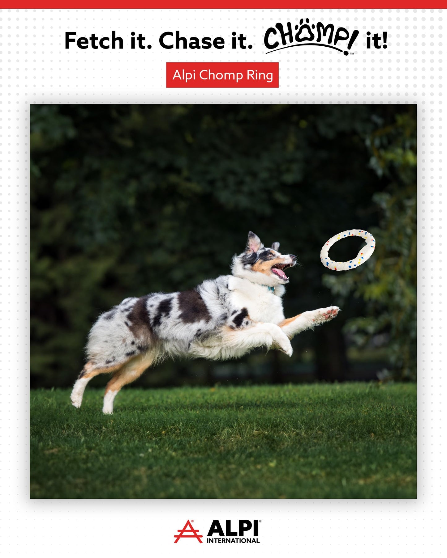 ALPI Chomp Ring - Durable, Soft, & Squishy Bite Puppy Toys for Dogs & Other Pets - Stimulating Dog Toys for Sensory Play & Fun (Large)