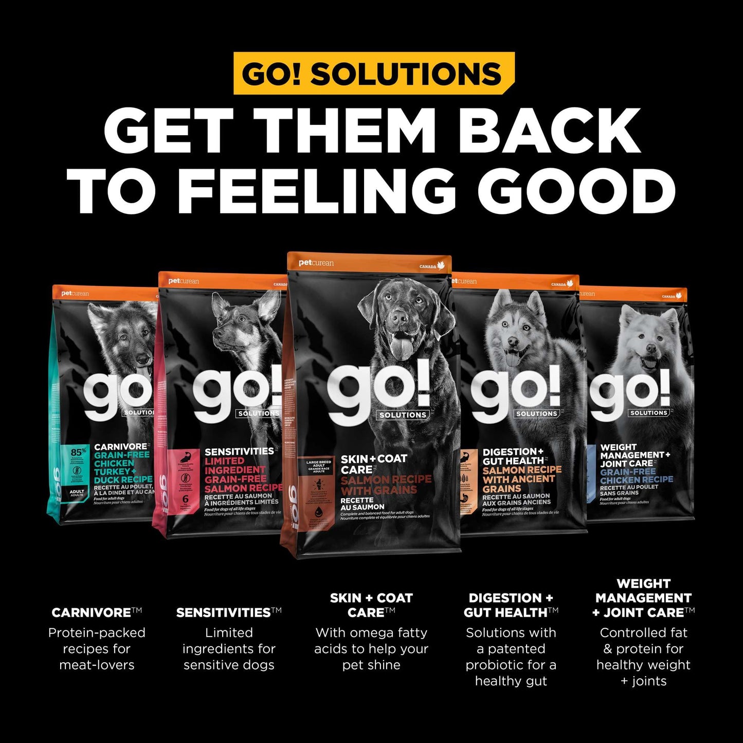Go! Solutions Skin + Coat Care, Dry Dog Food, Large Breed Adult Salmon Recipe with Grains, 25 lb Bag